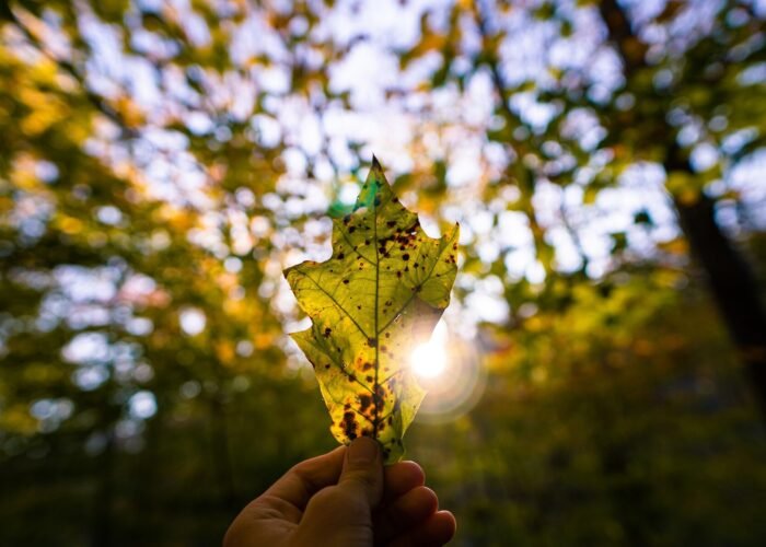 Un día que debe durar todo el año - Latinoamérica Verde TV
